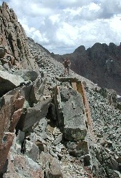 Cave Dog on Wisons Connecting Ridge