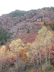 Autumn in Clear Creek