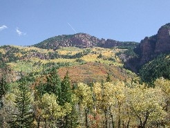 Autumn in Clear Creek