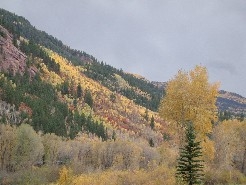 Autumn in Clear Creek