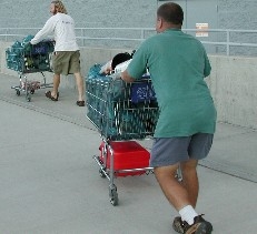 Grocery Carts