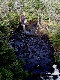 Cave Dog in Adirondack Mud