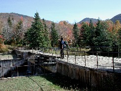 Sea Dog on Marcy Dam