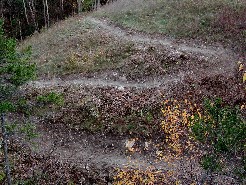 Adirondacks Only Switchback