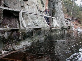 Cave Dog on a Hitch Me Up Matilda