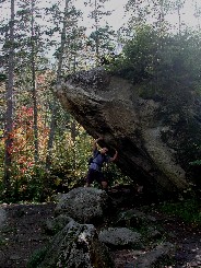 Sea Dog Holding Up Slant Rock