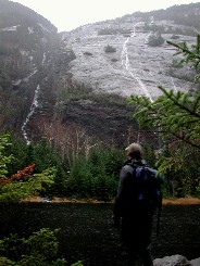 Sea Dog with the Trap Dike in Rain