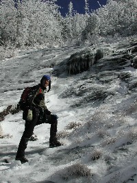 Cave Dog on the Eastern Slopes of Allen