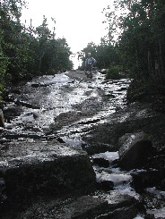 Sea Dog on Slide on Algonquin