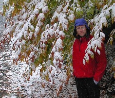 Cave Dog under the Snowy Fall Colors