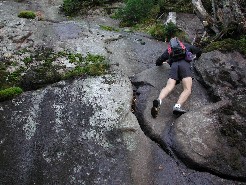 Cave Dog Climbing on Armstrong