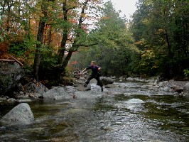 Cave Dog Hopping across Indian Pass Brook