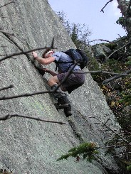 Sea Dog Climbing on Saddleback